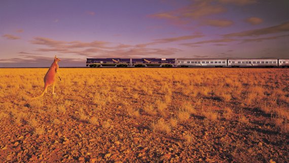 Southern Australia Coast to Coast with Holland America Line & Indian Pacific from Perth