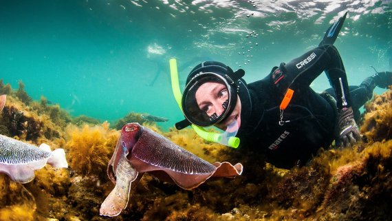 Cuttlefish & SA’s Natural Wonders Adventure - 21 June 2024